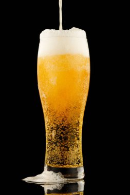 Light yellow beer with foam in a glass black background