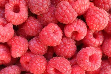 Raspberries close-up. Red berry. Healthy food raspberries.