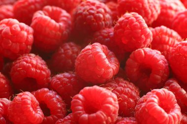 Raspberries close-up. Red berry. Healthy food raspberries.