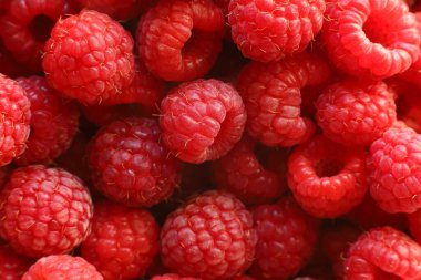 Raspberries close-up. Red berry. Healthy food raspberries.