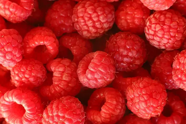 Raspberries close-up. Red berry. Healthy food raspberries.