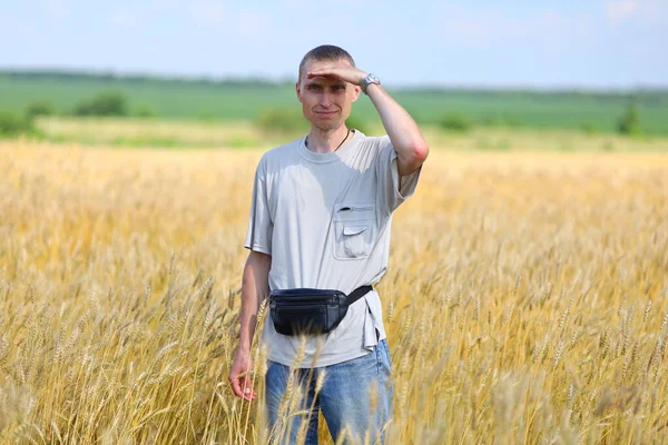 Man Wheat Field Looks Away — Fotografia de Stock