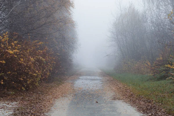 Beautiful Autumn Road Foggy Landscape — Fotografia de Stock