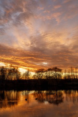 Sunset. Landscape over water. Beautiful landscape.