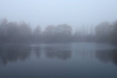 Foggy autumn landscape. Lake in autumn.