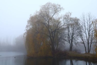Foggy autumn landscape. Lake in autumn.