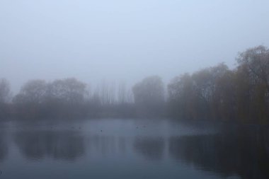 Foggy autumn landscape. Lake in autumn.