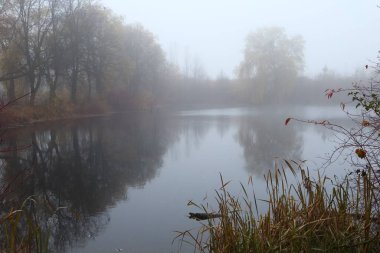 Foggy autumn landscape. Lake in autumn.