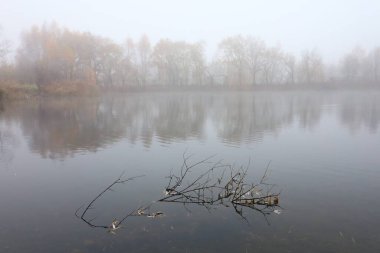 Foggy autumn landscape. Lake in autumn.