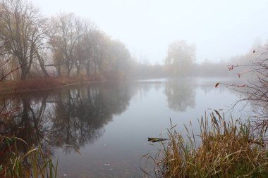 Foggy autumn landscape. Lake in autumn.