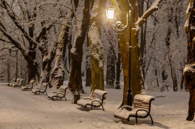 Evening in the winter park. Beautiful landscape with a bench.