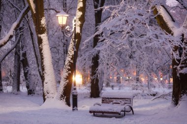 Evening in the winter park. Beautiful landscape with a bench.