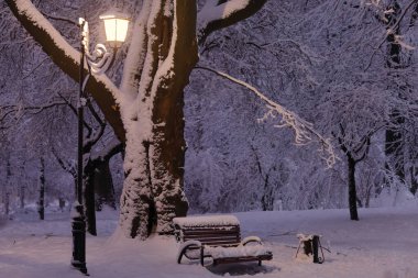 Evening in the winter park. Beautiful landscape with a bench.
