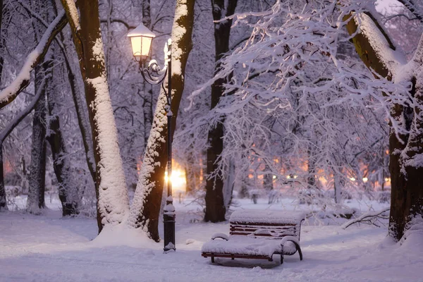 Evening in the winter park. Beautiful landscape with a bench.