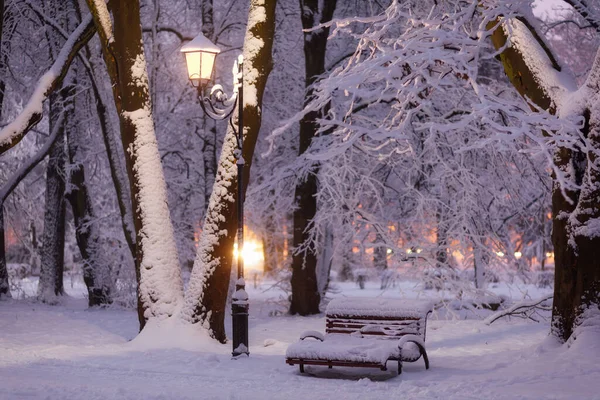 Evening Winter Park Beautiful Landscape Bench —  Fotos de Stock
