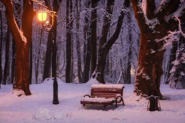 Evening in the winter park. Beautiful landscape with a bench.