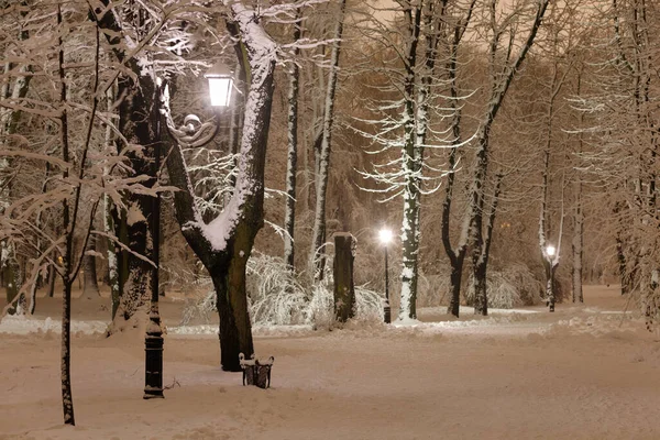 Evening in the winter park. Beautiful landscape.