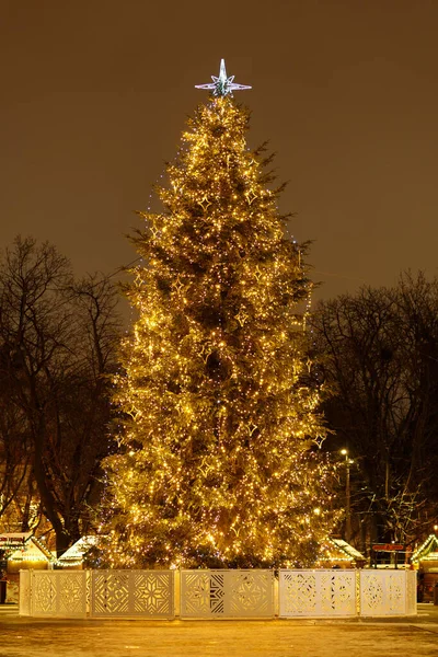 Lviv Ukraine December 2021 Christmas Tree 2021 2022 — Zdjęcie stockowe