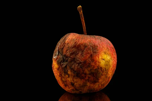 Rotten Crumpled Apple Close — Fotografia de Stock