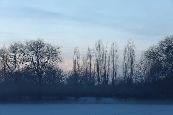 Beautiful Simple Winter Landscape — Foto de Stock