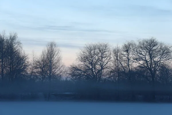 Beautiful Simple Winter Landscape — Photo