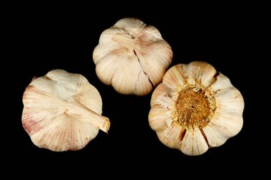 Garlic close-up on a black background