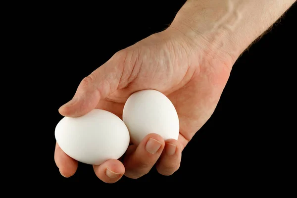 Two white eggs in hand close-up