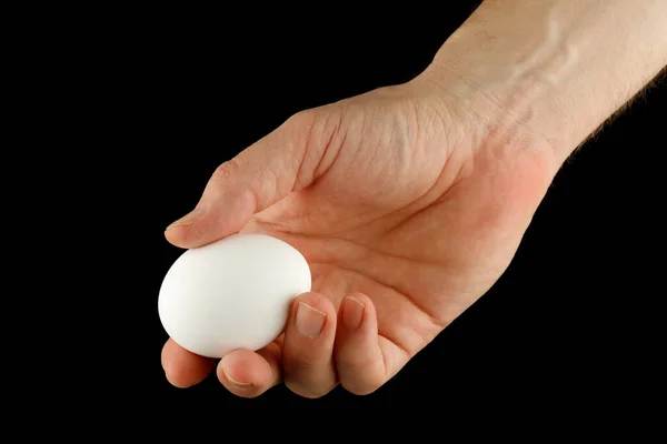 White egg in hand close-up