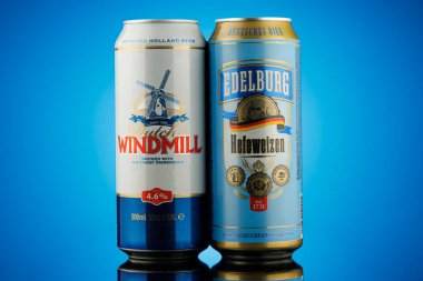 LVIV, UKRAINE - February 02, 2022: German and English beer in cans