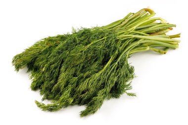 Bunch of dill greens isolate
