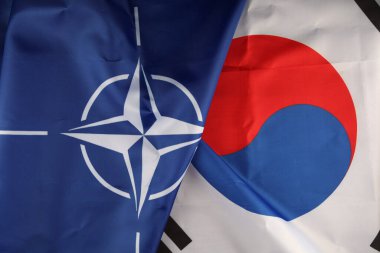 LVIV, UKRAINE - February 25, 2022: NATO flag and South Korea