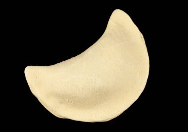 Frozen dumplings on a black background