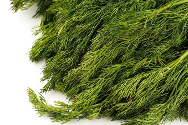 Bunch Dill Greens Isolate — Foto Stock