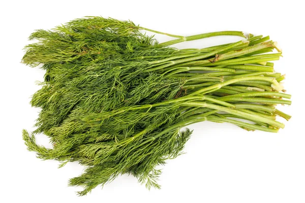 Bunch Dill Greens Isolate — Stockfoto