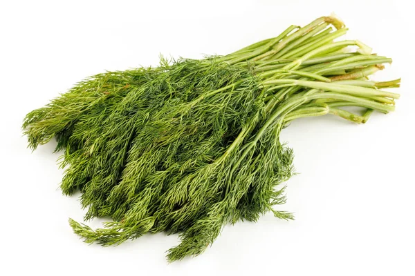Bunch Dill Greens Isolate — Stockfoto