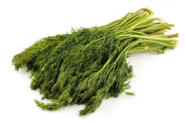 Bunch of dill greens isolate