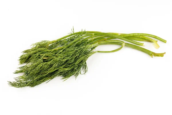 Bunch Dill Greens Isolate — Stock Photo, Image