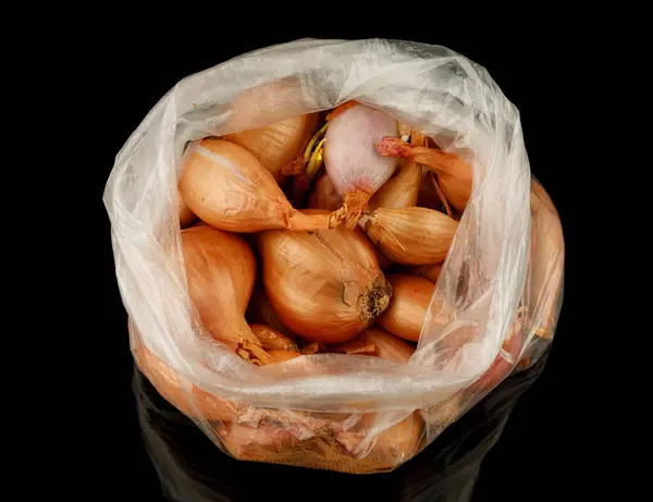 Onion Seedlings Plastic Ball — Fotografia de Stock