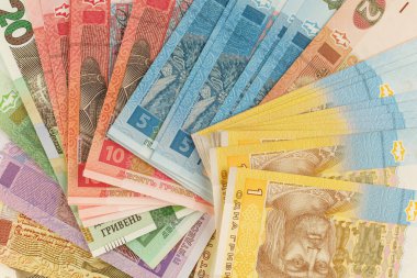 LVIV, UKRAINE - March 28, 2022: Ukrainian hryvnia money