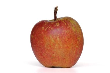 Red apple variety of Fuji white isolate