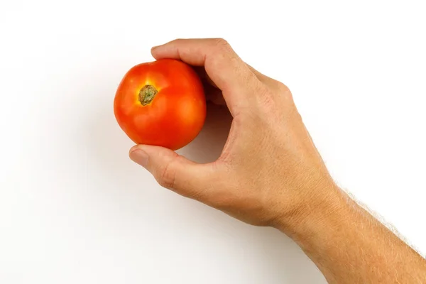 Tomato Hand Isolate Vegetable Holding Hand — ストック写真