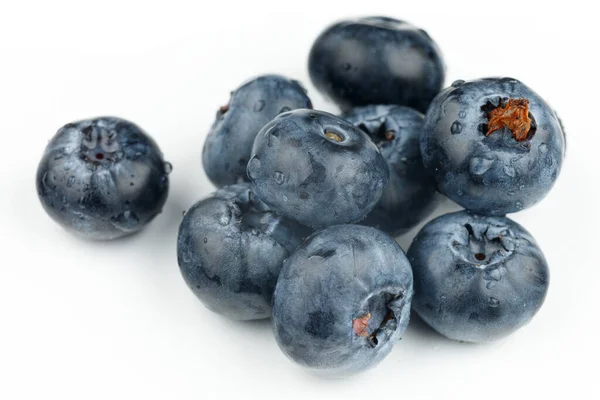 Blueberry White Background Few Blueberries — 图库照片