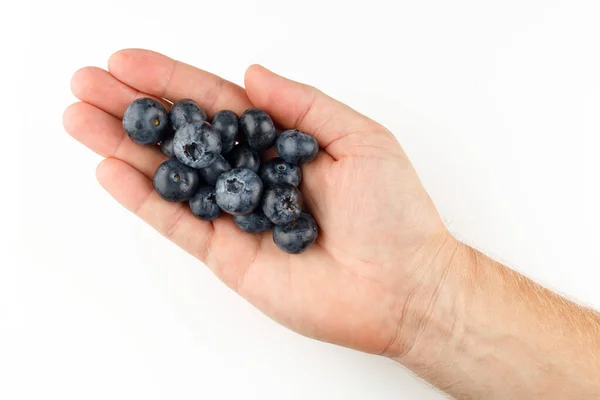 Blueberry Hand Isolates — Stock Photo, Image