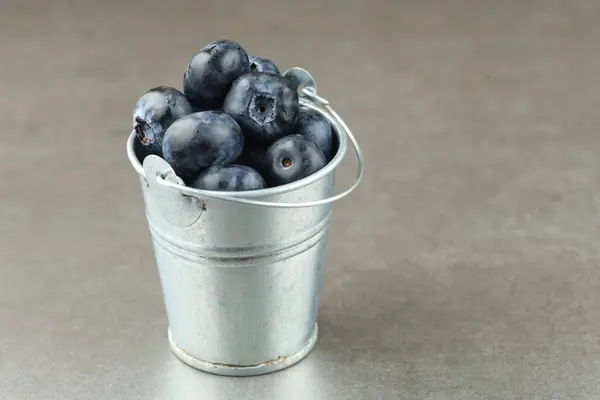 Blueberry Metal Bucket — 图库照片