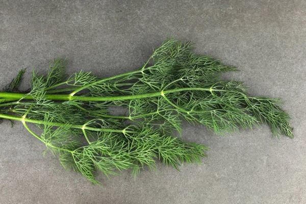 Green Dill Leaves Close — Foto Stock