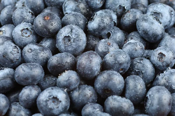 Blueberry Organic Food Lot Berries Blueberry — 图库照片