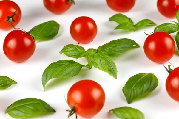 Basil Tomato Cherry Tomato Basil Greens — Stok fotoğraf