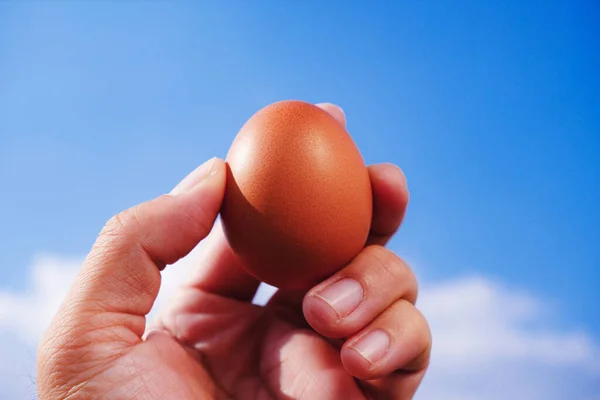 a chicken egg in hand with a sky blurred background