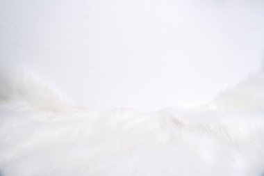 White fluffy rug and background with copy space to decorate text,soft focus