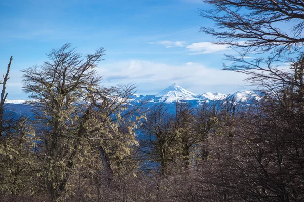 Montagne entre les arbres — Photo